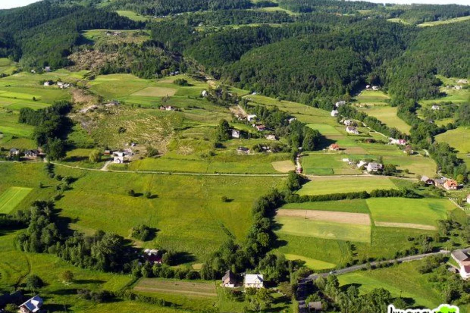 Osuwisko z lotu ptaka (aktualizacja 22:15 6 VI 2010) - zdjęcie 15