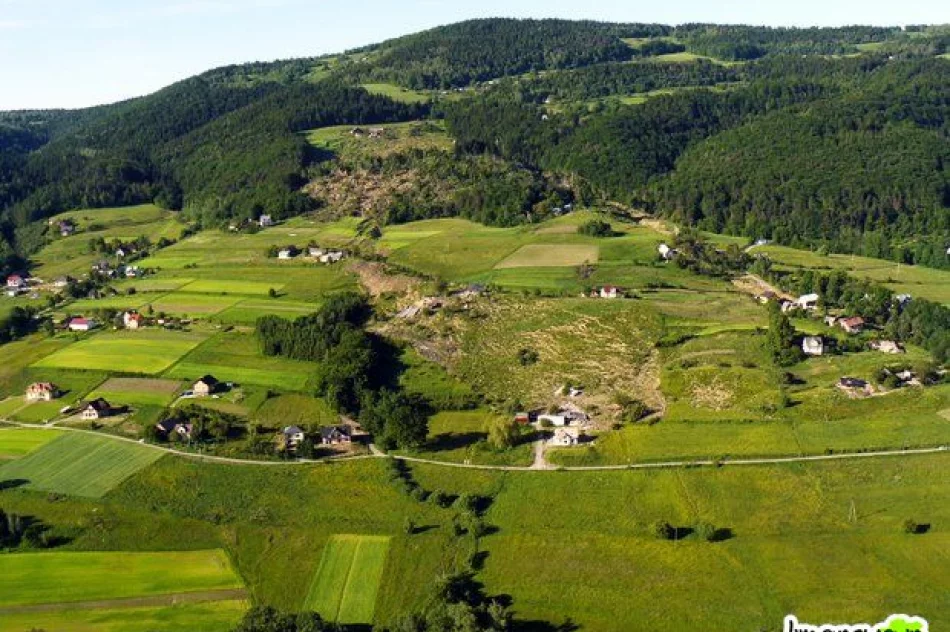 Osuwisko z lotu ptaka (aktualizacja 22:15 6 VI 2010) - zdjęcie 16