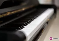 Nowy fortepian koncertowy - zdjęcie główne