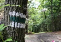 Powstanie nowy szlak turystyczny za 133 tys. zł - zdjęcie główne
