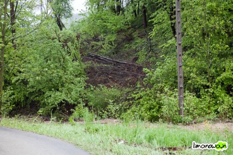 Straty intensywnych opadów - wtorek - zdjęcie 10