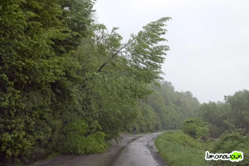 Straty intensywnych opadów - zdjęcie 19