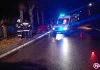 Fiat wypadł z drogi, uderzył w drzewo i ogrodzenie - zdjęcie główne