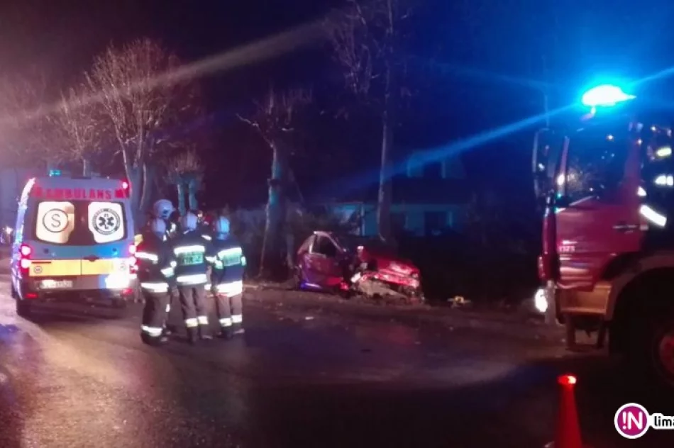 Fiat wypadł z drogi, uderzył w drzewo i ogrodzenie - zdjęcie 2