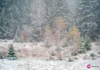 IMiGW ostrzega: dziś możliwy śnieg - zdjęcie główne