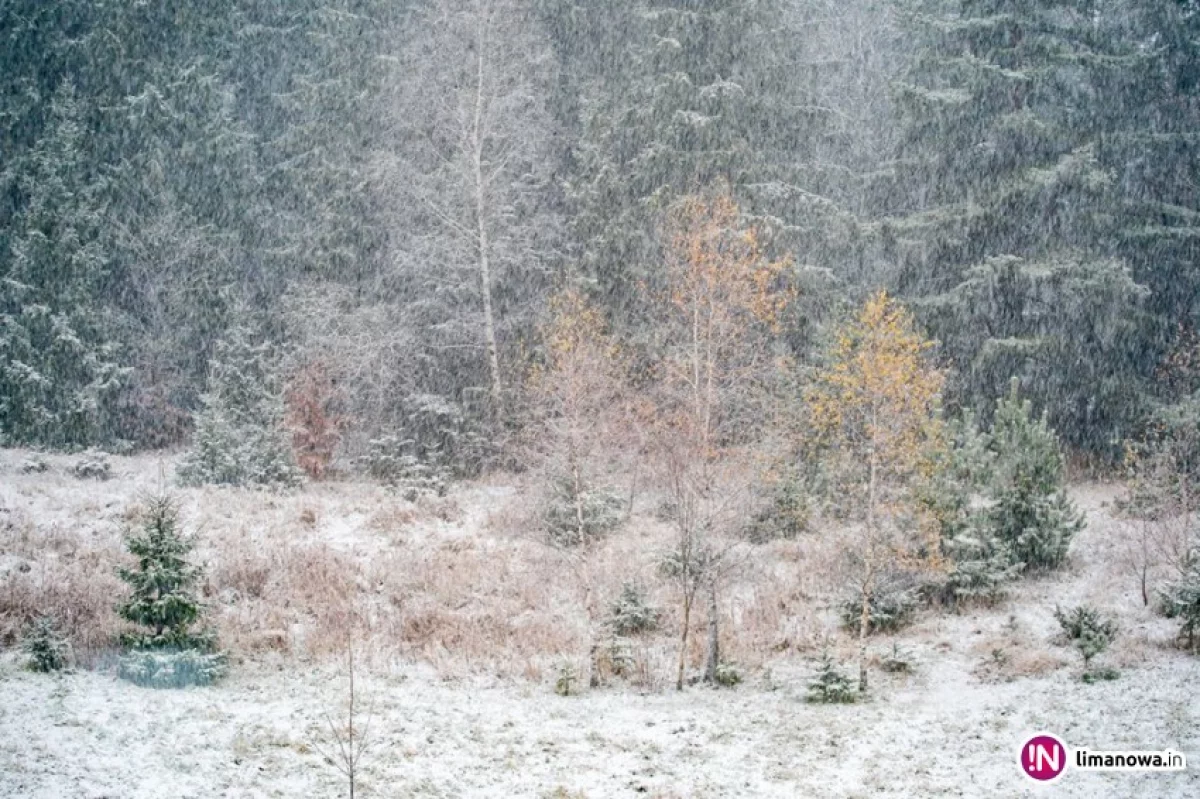 IMiGW ostrzega: dziś możliwy śnieg