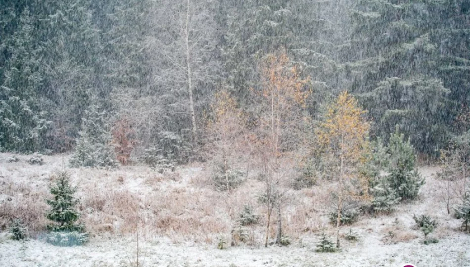 IMiGW ostrzega: dziś możliwy śnieg - zdjęcie 1