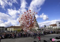Zobacz uroczystości Narodowego Święta Niepodległości w Limanowej (zdjęcia) - zdjęcie główne