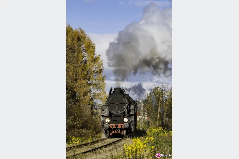 Torowisko poprawiono, pociąg retro mógł przejechać po zabytkowej linii - zdjęcie 4