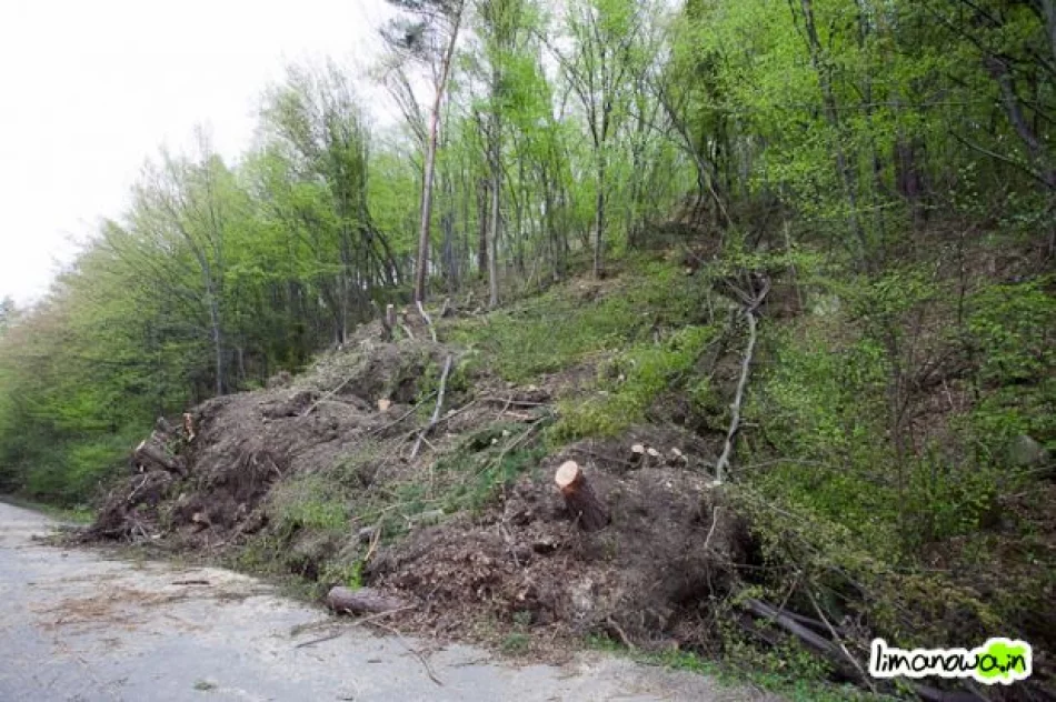 Osuwisko wciąż groźne - zdjęcie 2