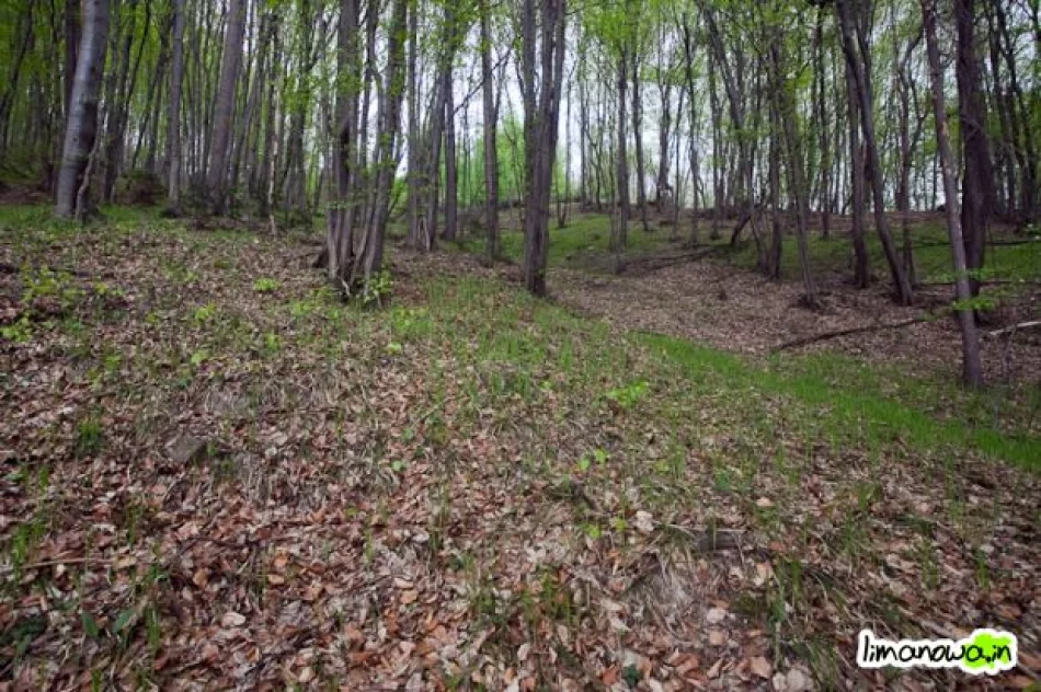 Osuwisko wciąż groźne - zdjęcie 3