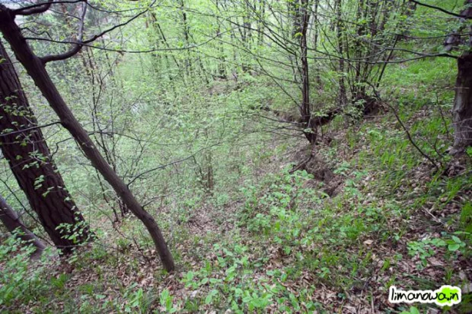 Osuwisko wciąż groźne - zdjęcie 4