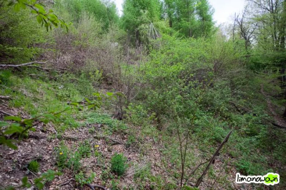 Osuwisko wciąż groźne - zdjęcie 7