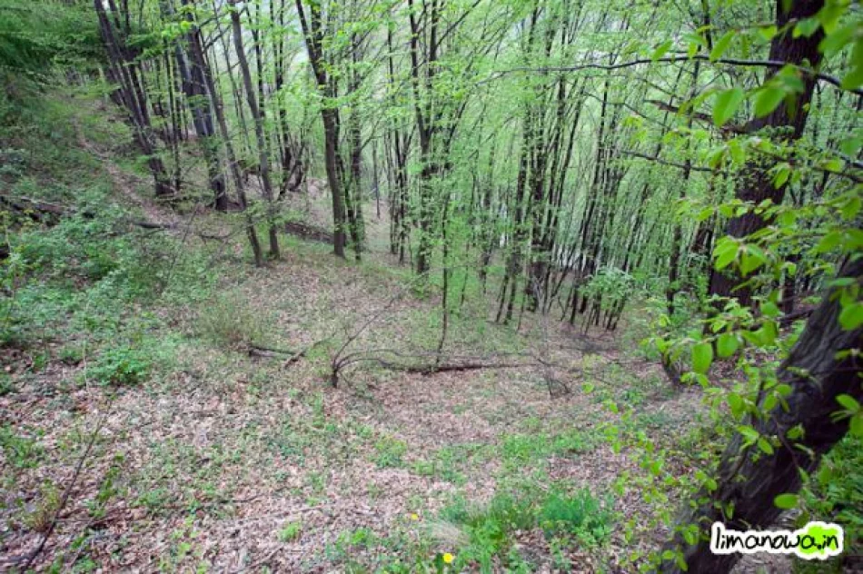 Osuwisko wciąż groźne - zdjęcie 8