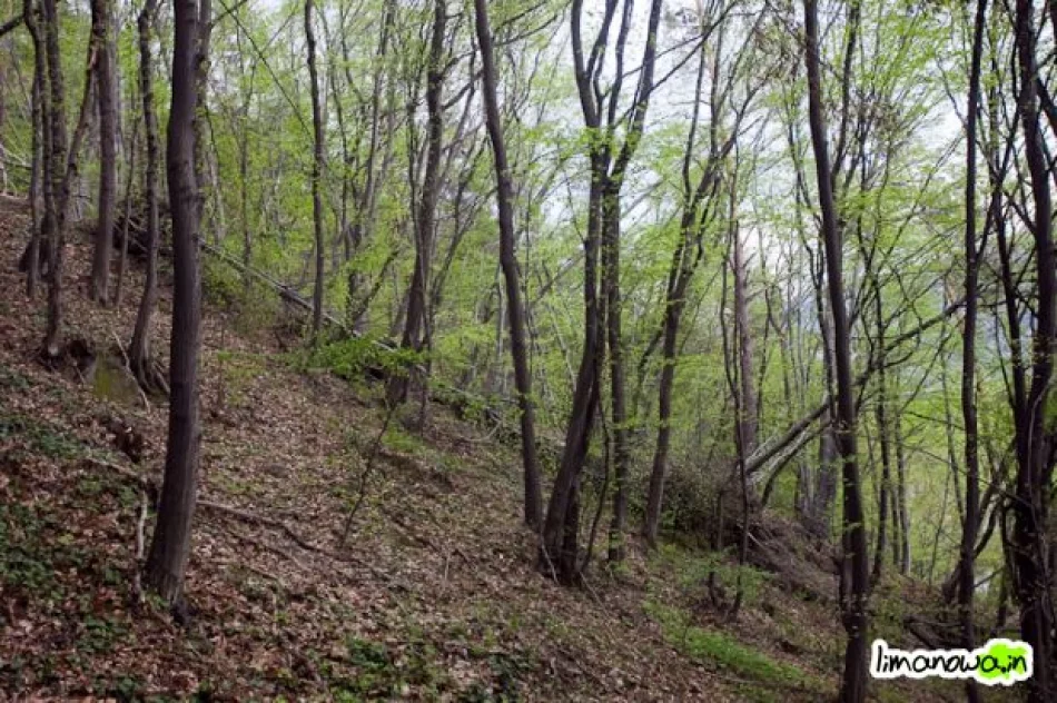 Osuwisko wciąż groźne - zdjęcie 20