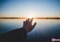 Wybierz pracownika socjalnego roku - zdjęcie główne