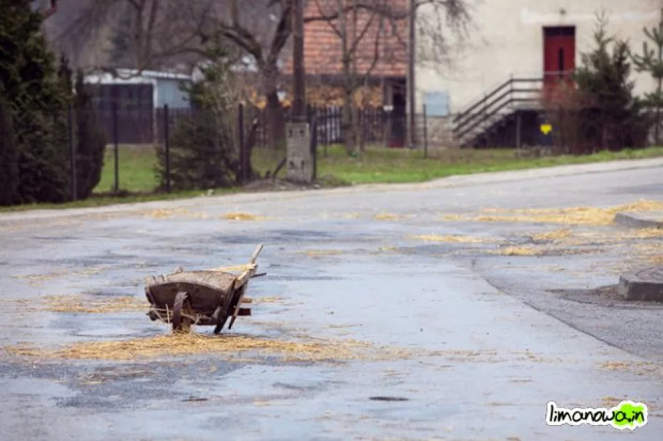 Dziady Śmiguśne 2010 - zdjęcie 4