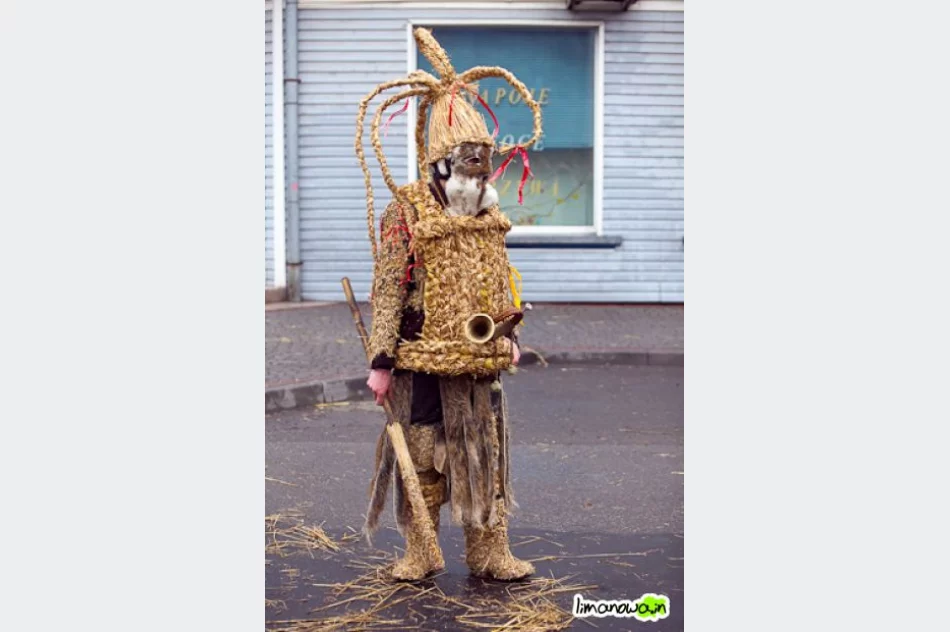 Dziady Śmiguśne 2010 - zdjęcie 15