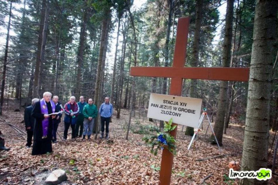 Pierwsze prace przy budowie drogi krzyżowej na Miejską Górę - zdjęcie 3