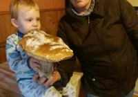 Piękny i wielki prawdziwek pokryty śniegiem - zdjęcie główne