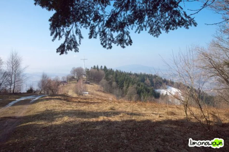 Pierwsze prace przy budowie drogi krzyżowej na Miejską Górę - zdjęcie 14