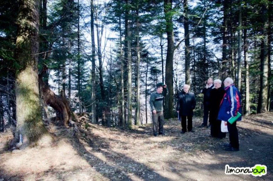 Pierwsze prace przy budowie drogi krzyżowej na Miejską Górę - zdjęcie 15