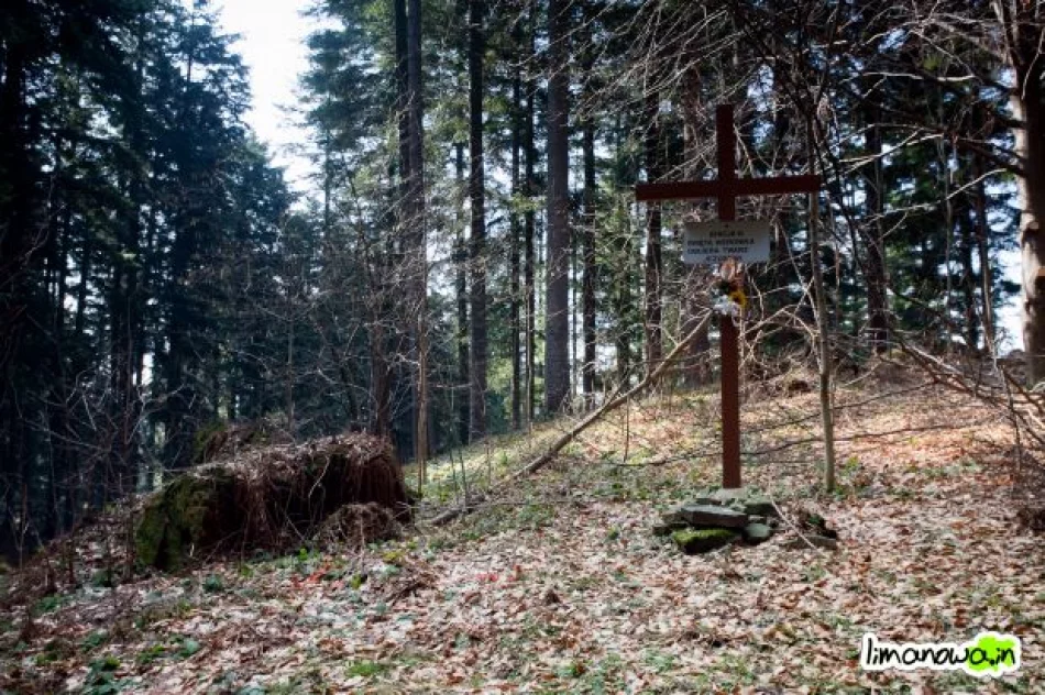 Pierwsze prace przy budowie drogi krzyżowej na Miejską Górę - zdjęcie 18