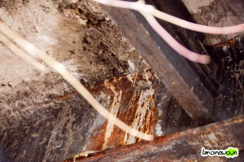 Było błoto, będzie kurz - zdjęcie 2