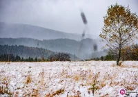 Pojawił się pierwszy śnieg. W górach spadnie nawet 30 cm (zdjęcia i wideo) - zdjęcie główne