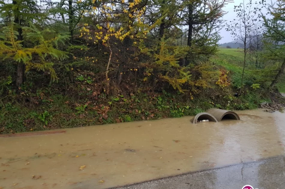 50 interwencji straży. Zakaz użytkowania dwóch budynków, uszkodzone dachy, powalone drzewa - zdjęcie 4