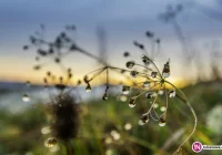 Ostrzeżenia IMiGW: deszcz i bardzo silny wiatr do 110 km/h! - zdjęcie główne