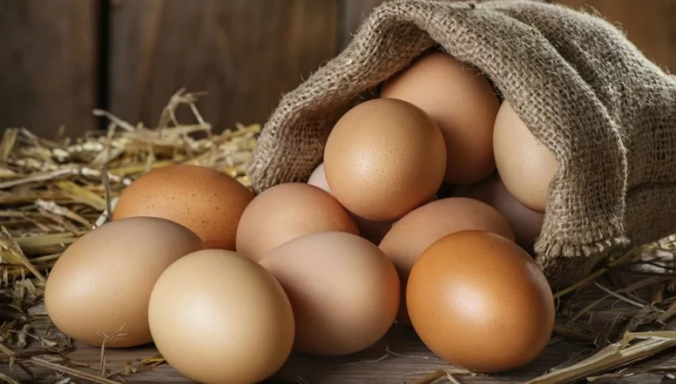 SGGW: skład jaj zależy od sposobu karmienia, a nie od rodzaju chowu - zdjęcie 1