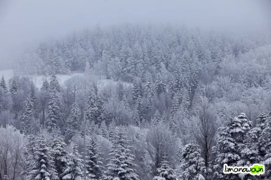 Puchar Polski na Łysej Górze - zdjęcie 2