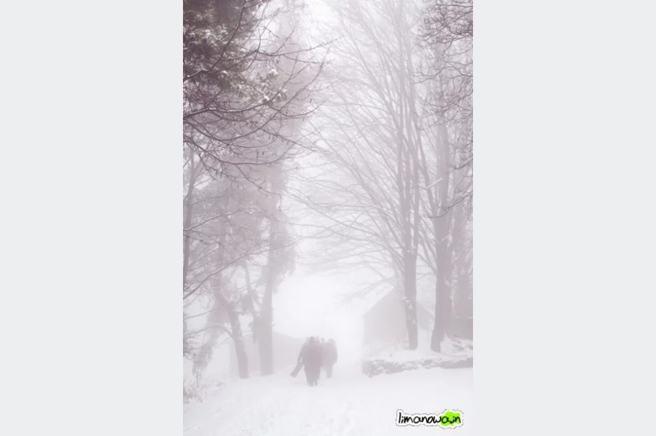 Złaz we mgle - zdjęcie 3