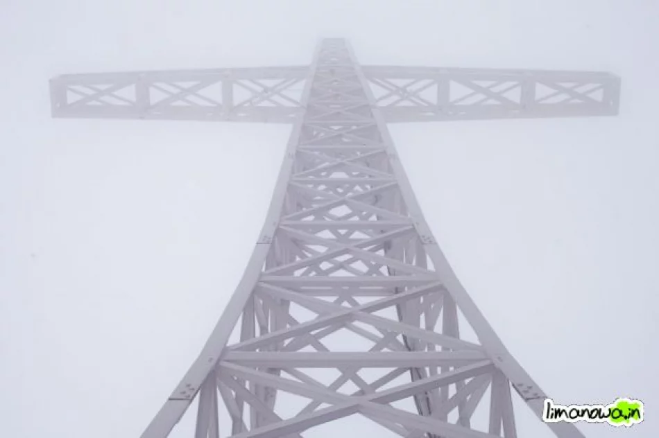 Złaz we mgle - zdjęcie 8