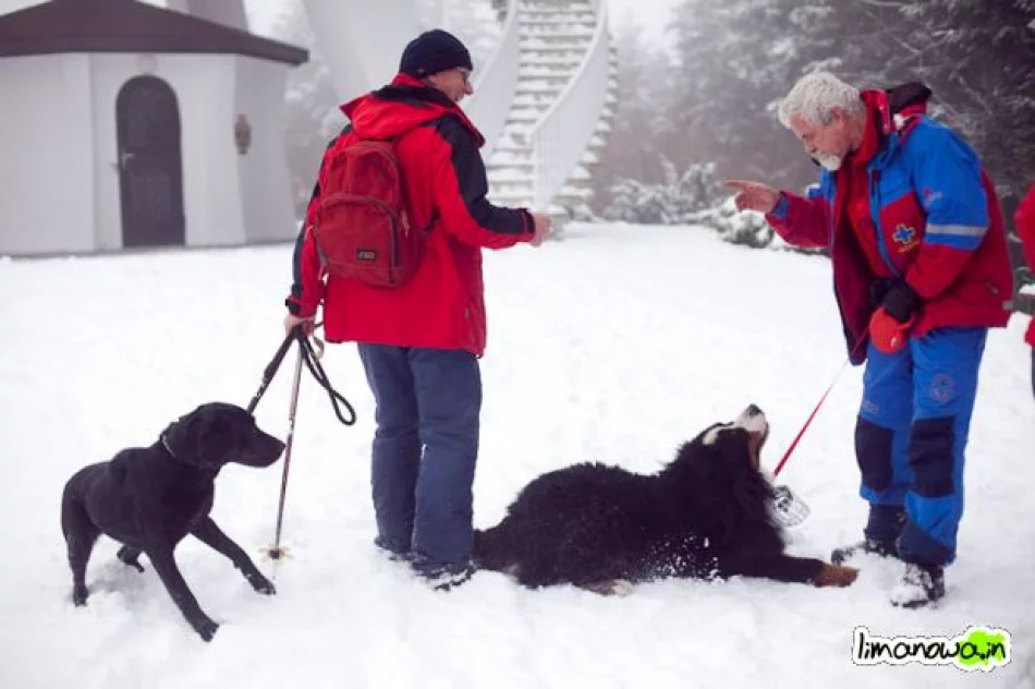 Złaz we mgle - zdjęcie 10