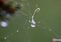 Ostrzeżenie IMiGW: lokalnie może spaść do 50 litrów deszczu na m2 - zdjęcie główne