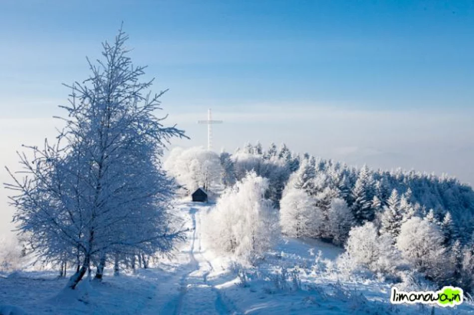 Dzisiejszy poranek - zdjęcie 2