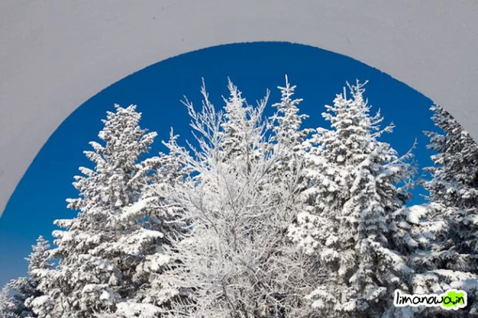 Dzisiejszy poranek - zdjęcie 5