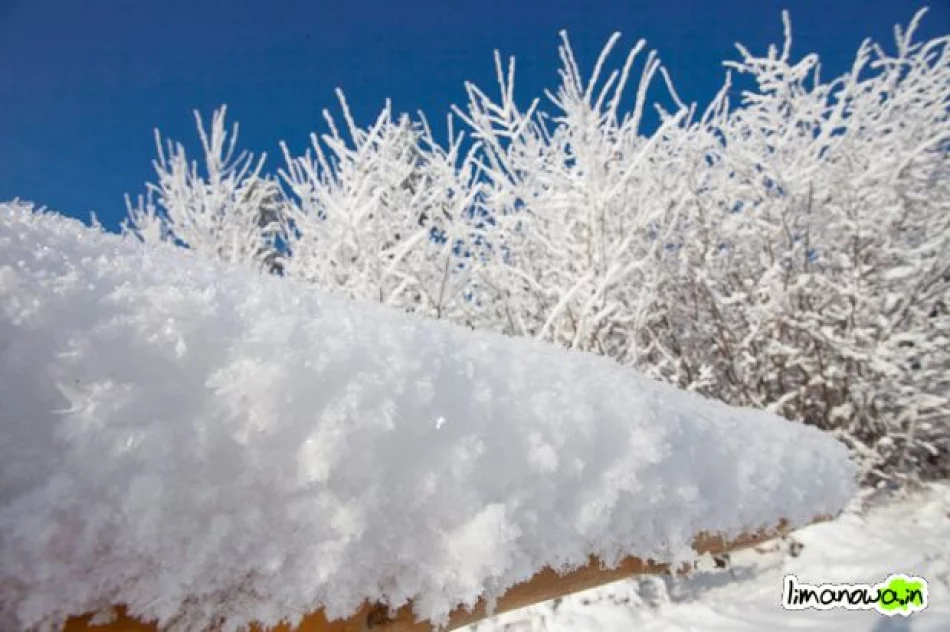 Dzisiejszy poranek - zdjęcie 8