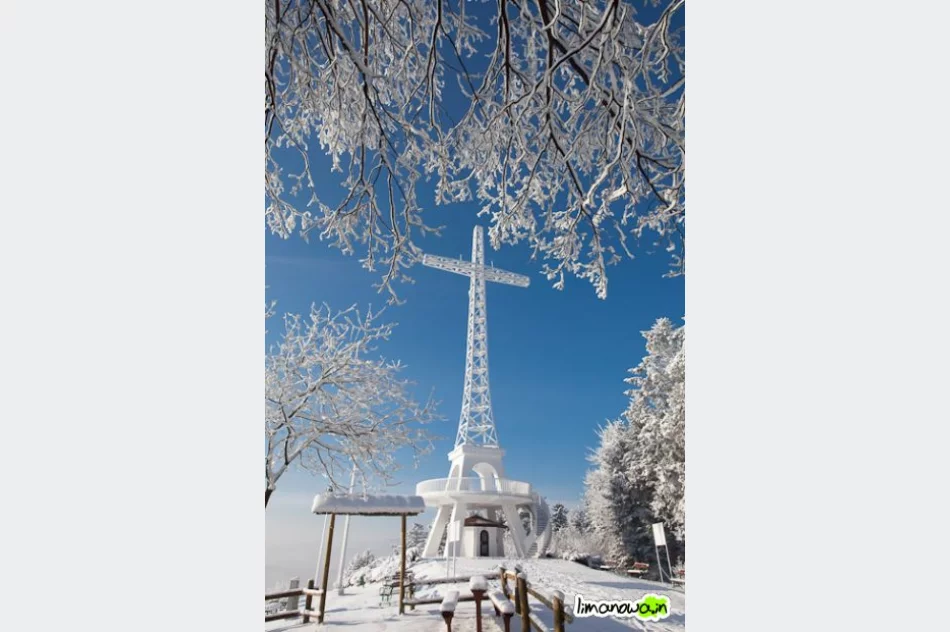 Dzisiejszy poranek - zdjęcie 12