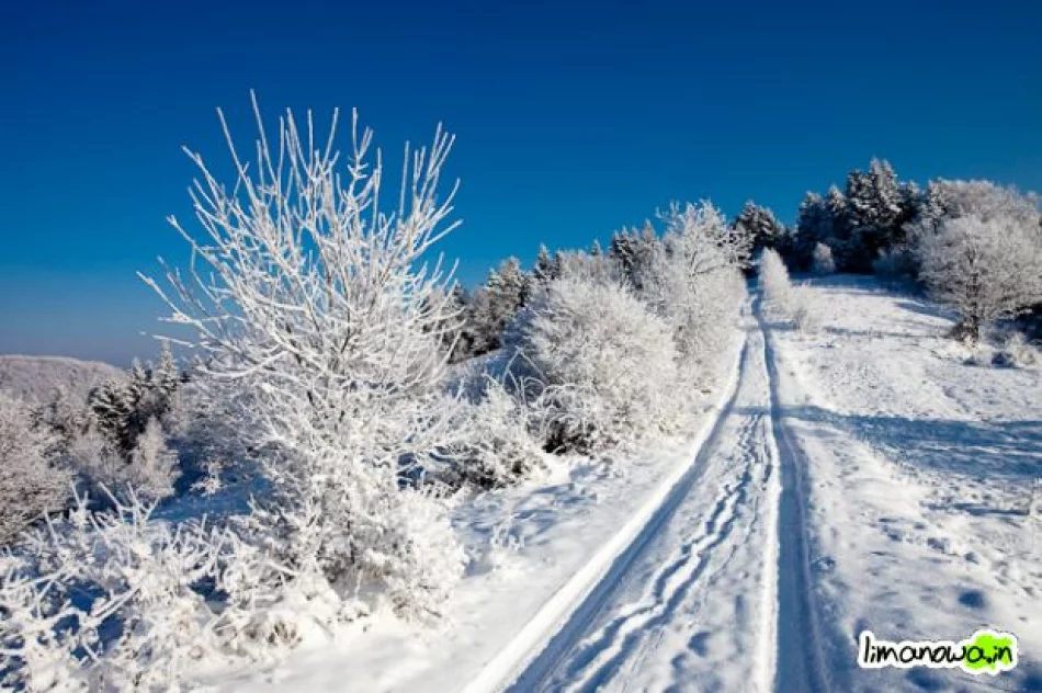 Dzisiejszy poranek - zdjęcie 13