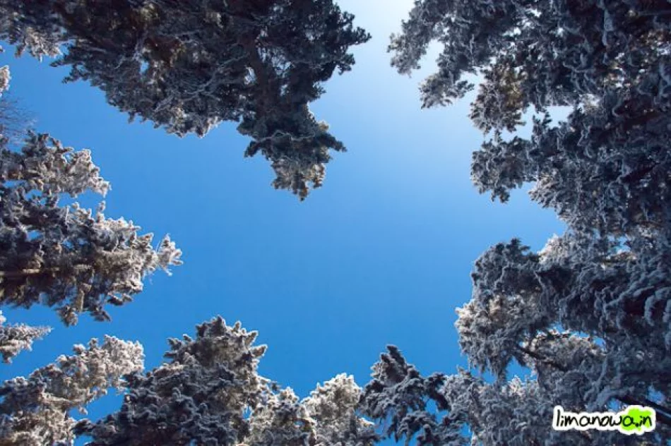 Dzisiejszy poranek - zdjęcie 15