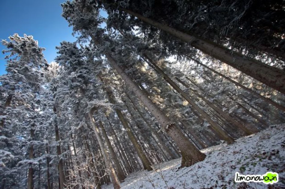 Dzisiejszy poranek - zdjęcie 16