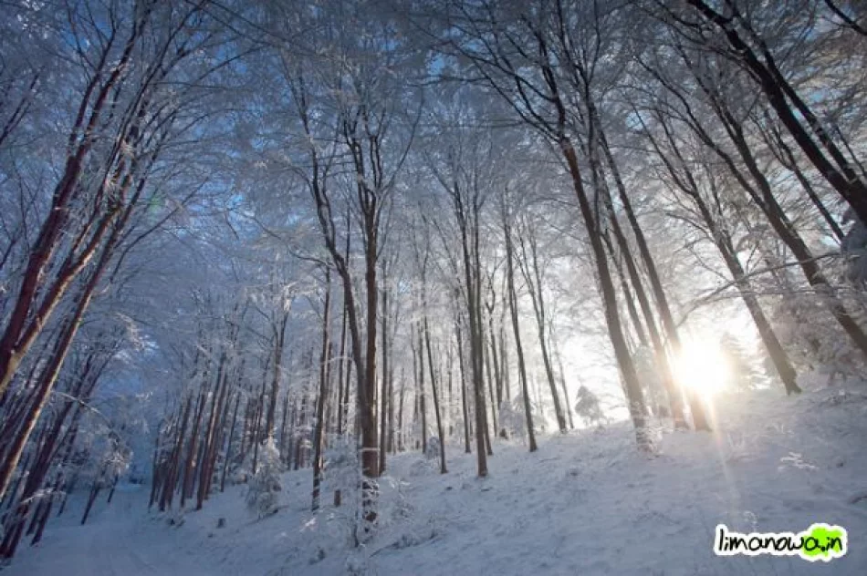 Dzisiejszy poranek - zdjęcie 17