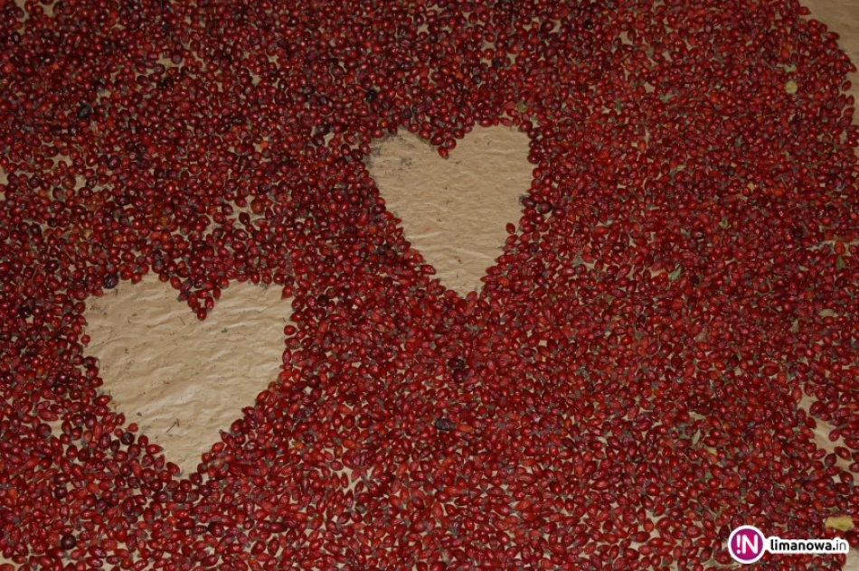 Dzika róża – dzikie serce… - zdjęcie 2