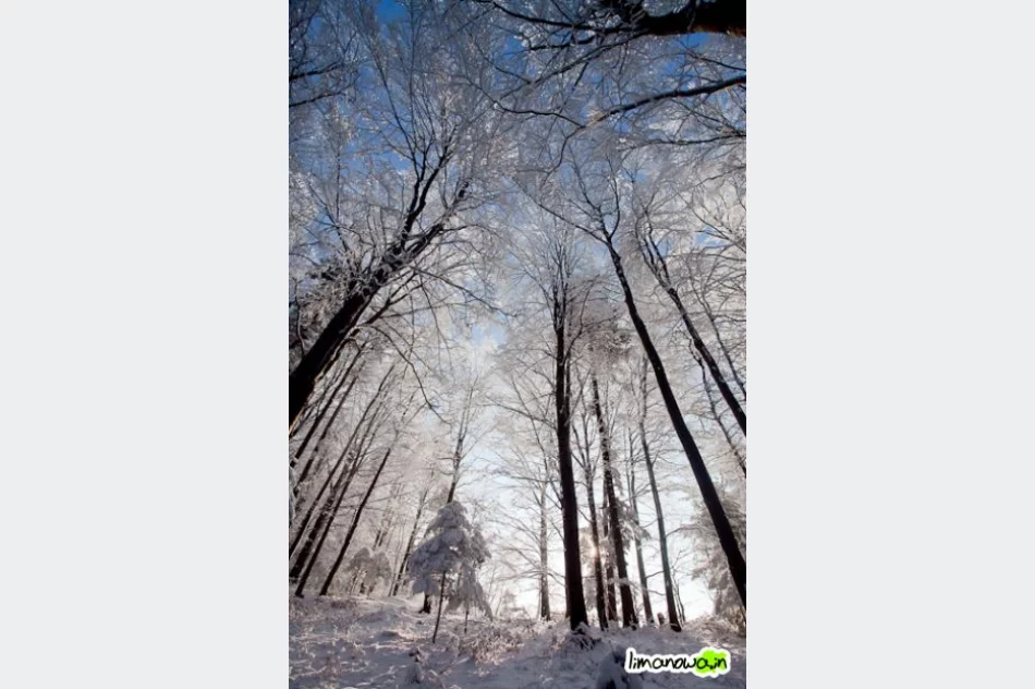 Dzisiejszy poranek - zdjęcie 18