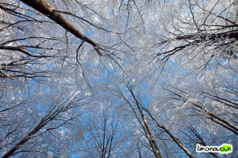 Dzisiejszy poranek - zdjęcie 19