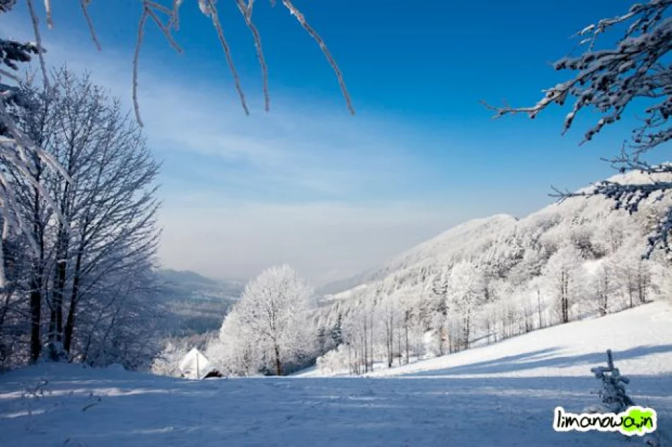 Dzisiejszy poranek - zdjęcie 20