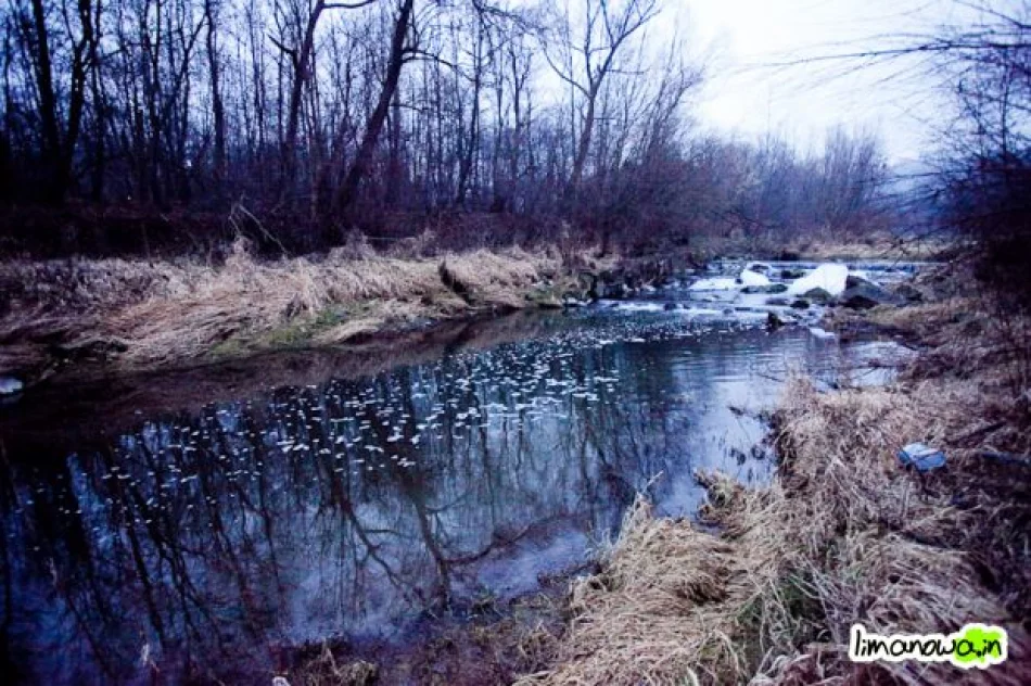 Kilkumetrowa piana na rzece - zdjęcie 3